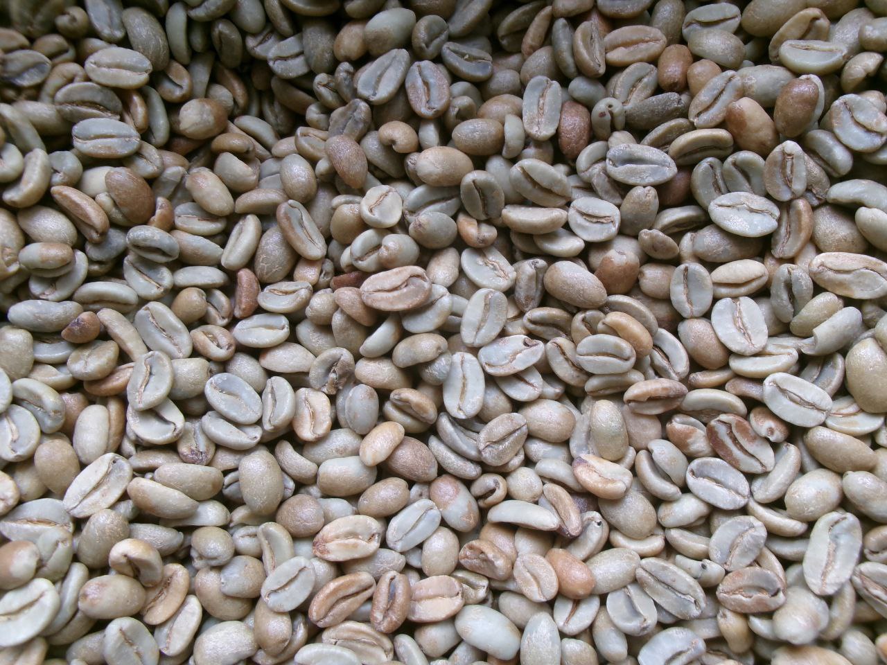 PNGコーヒー 生豆 10, 20, 60 kg