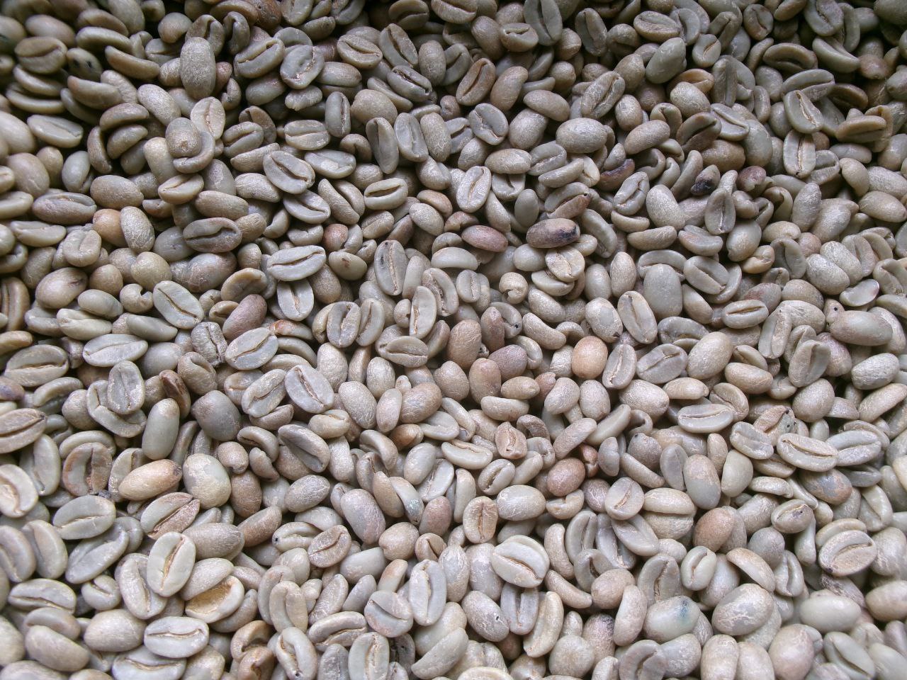 PNGコーヒー 生豆 10, 20, 60 kg