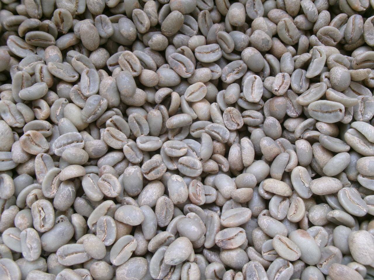 PNGコーヒー 生豆 10, 20, 60 kg
