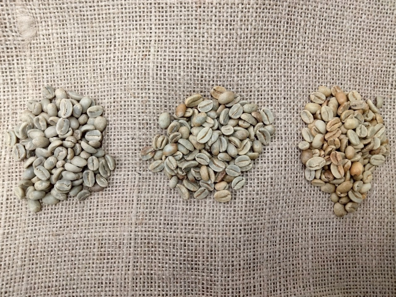 精製3種飲み比べセット（Washed, Honey, Natural）各80g