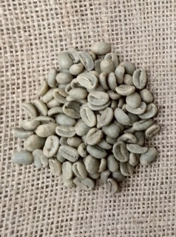 PNGコーヒー 生豆 1, 10, 60 kg（KOSEM WASHED）