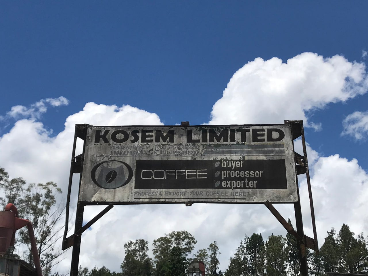 PNGコーヒー 生豆 1, 10, 60 kg（KOSEM WASHED）