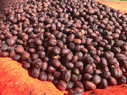 PNGコーヒー 生豆 1, 10, 60 kg（KOSEM HONEY)